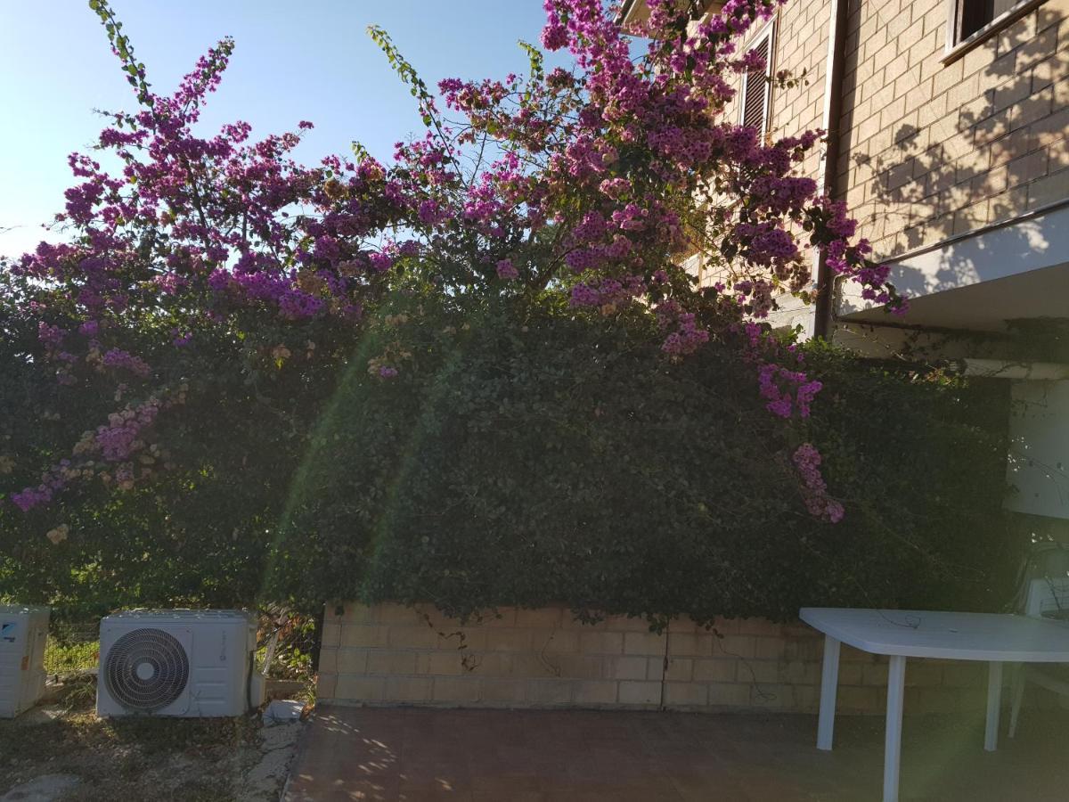 La Culla Del Conte Apartment Bucchianico Exterior foto
